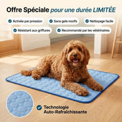 Tapis rafraîchissant SokkeaPaws™