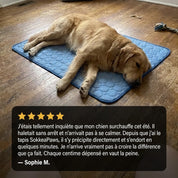 Tapis rafraîchissant SokkeaPaws™
