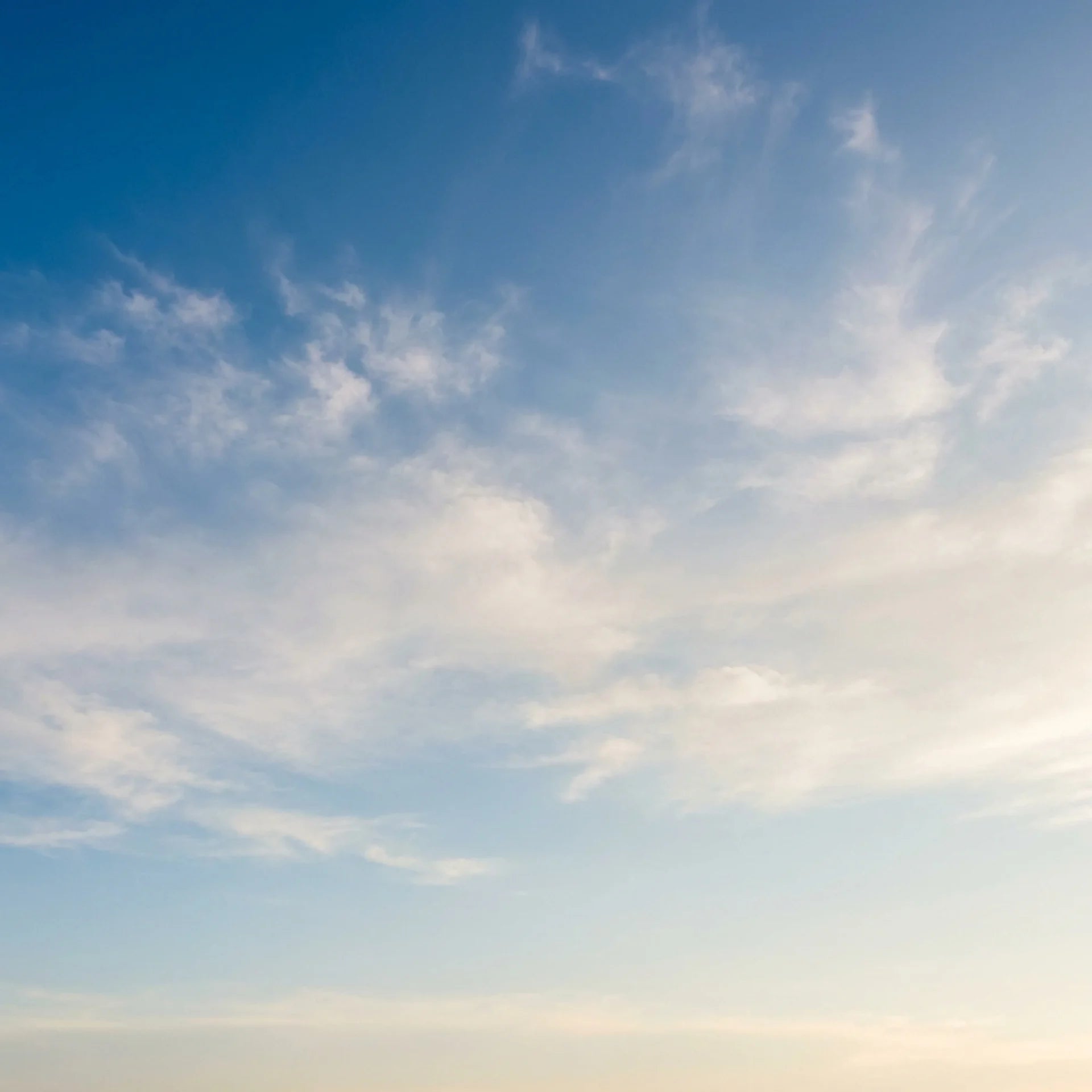 image_5_0206af8c-e458-4040-8271-c33f6e02e030.webp
